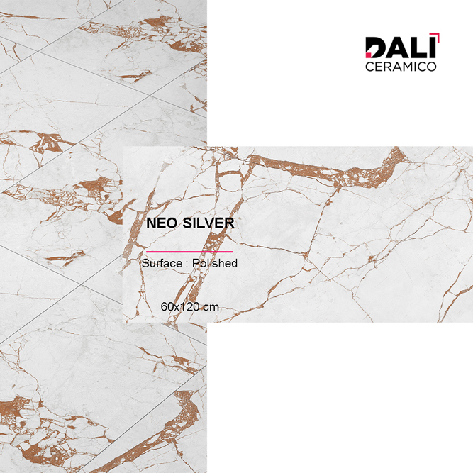 Neo Silver - Polished Glazed Porcelain Tiles 60x120 cm | Polished